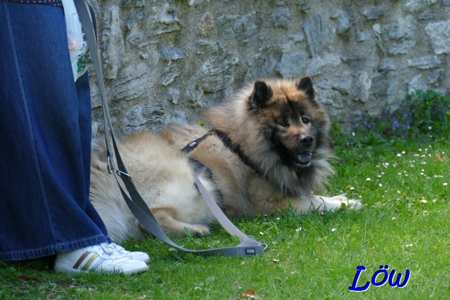 19.4.2025 - Rasten im Mauerschatten